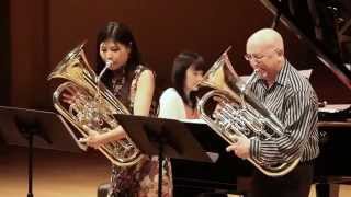 Carmen Fantasy for 2 Euphoniums and Piano [upl. by Nerral]