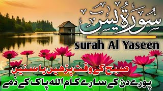 Surah Yaseen سورة يس  This Majestic VOICE will TOUCH Your HEART إن شاء الله  Hafiz Abu Bakar [upl. by Hernandez32]