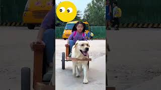 O cachorro está levando a menina para casa 🐕👧🏠 [upl. by Tod661]