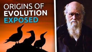 This Video DISMANTLES Darwinian Evolution [upl. by Goode354]