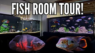 15 Cichlid Tanks in One Home Incredible Fish Room Tour [upl. by Corsetti509]