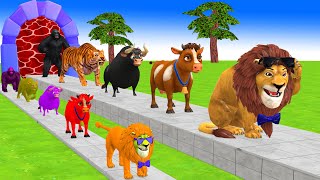 Paint amp Animals CowGorillaLionTigerFerdinand Fountain Crossing Transformation Cartoon [upl. by Llennod854]