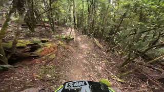 Old Mate Cobber into Topgun  Maydena Bike Park [upl. by Llemmart764]