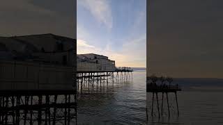 Starling murmuration at Royal Pier Aberystwyth [upl. by Tnemelc]