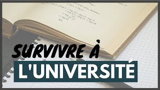 Survivre à lUniversité Les principes clés pour réussir ses études [upl. by Alfonzo]