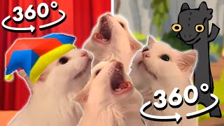 360° Cat MEOW but Meme Music [upl. by Suivatnod347]