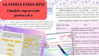 ADMITERE MEDICINA GLANDELE ENDOCRINE 4 Glandele suprarenale partea a IIa [upl. by Aisenet]