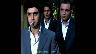 kurtlarvadisi polatalemdar qashqirlarmakoni fypシ kurtlarvadisipusu shorts [upl. by Terencio]