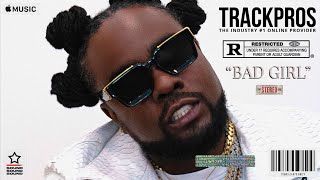 Wale Type Beat 2023  quotBad Girlquot [upl. by Namolos651]