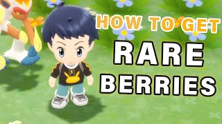 How to get RARE Berries ► Pokemon Brilliant Diamond  BDSP [upl. by Ynotna]