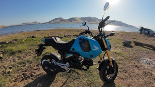 My New Honda Grom Short Ride [upl. by Cheri449]