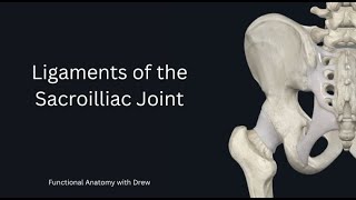 Ligaments of the Sacroilliac joint [upl. by Tala]