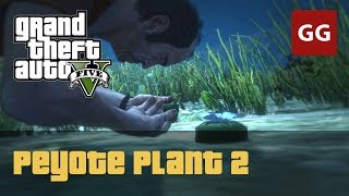 Peyote Plant 2 — GTA 5 [upl. by Battiste305]