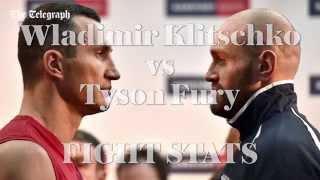 Wladimir Klitschko vs Tyson Fury world heavyweight title  key fight stats [upl. by Berkie]