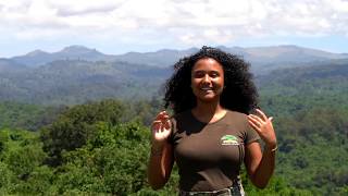 Travel with Maisha  Aberdare National Park [upl. by Brom]