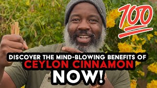 Discover the Mind Blowing Benefits of Ceylon Cinnamon NOW [upl. by Salisbarry]