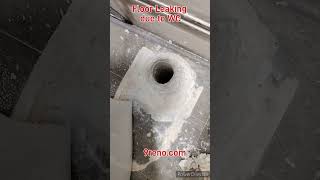 9reno Toilet Floor tile leaking due to WC problem Singapore [upl. by Donnenfeld]