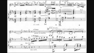 Guillaume Lekeu  Violin Sonata in G 189293 [upl. by Bramwell113]