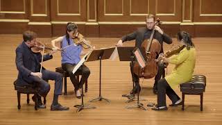 Brahms String Quartet Op 51 No 2 1 Allegro non troppo [upl. by Maller]