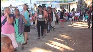 EL BAILE DEL GUAJOLOTE UNA TRADICIÓN DE TEHUITZINGO parte 1 [upl. by Hyatt380]