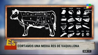 ¡Masterclass de cortes de carne para cuando vayas a la carnicería 🐄 [upl. by Sidwell]