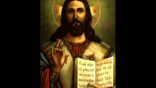 St Basil Liturgy including Gospel  Coptic Orthodox  Fr Antonious Tanious  English [upl. by Naujid]