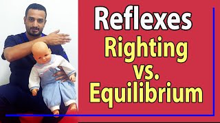 16 Difference between Righting amp Equilibrium Reactions [upl. by Ancalin]