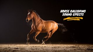 Horse Galloping Sound Horse Galloping Sound Effect Horse Sound Effect Horse Galloping [upl. by Gallard789]