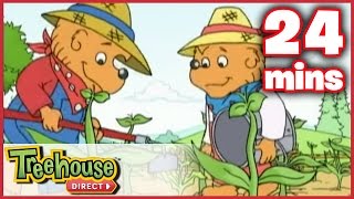 The Berenstain Bears The Summer Job  The Big Red Kite  Ep 21 [upl. by Scheer]