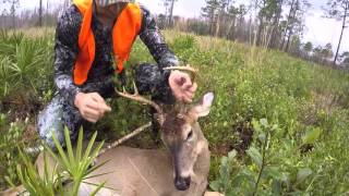 GREEN SWAMP WMA MONSTER BUCK [upl. by Reace]