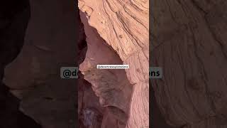 Antelope Flash Flood antelopecanyon flashflood extreamweather flood canyon slotcanyon watet [upl. by Kared]