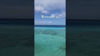 welcome to aruba youtubeshorts youtubevideo nature travel beach fyp 🇦🇼 [upl. by Airehtfele]