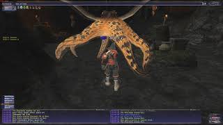 FFXI Nasomi  Charybdis Solo NINRDM [upl. by Aldwon356]