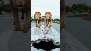 How to escape from two giant lions SpecialEffectsVideos lion shorts funny [upl. by Yllime]