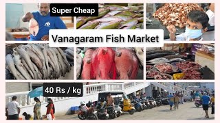 New Vanagaram Fish Market  Best wholesale fish market in Chennai  Kutty Kasimedu in Vanagram [upl. by Havens]