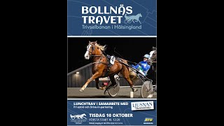 Bollnästravet 231010 Kval Premie [upl. by Booth653]