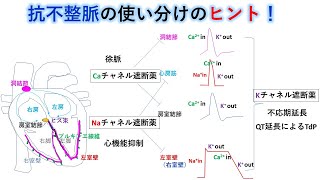 心電図：暗記からの卒業 110話 抗不整脈の概要 [upl. by Ahsenrad967]