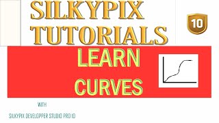 UNDERSTANDING CURVES IN PHOTOGRAPHY WITH SILKYPIX DEVELOPER STUDIO PRO 10 [upl. by Euqimod196]