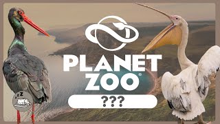 THE LAST DLC THE END OF AN ERA Debate with me  Planet Zoo [upl. by Irv952]