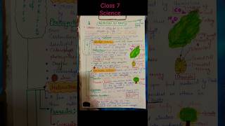 Nutrition in Plants Class 7 Science ctet science study biology neet motivational studyfacts [upl. by Rialc]