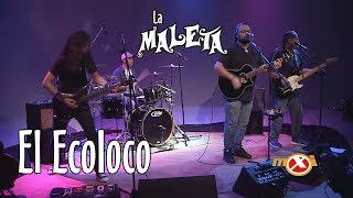 La Maleta  El Ecoloco cover de Odisea Burbujas  mxi LIVE [upl. by O'Malley]