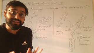 Poky mutation in Neurospora example of Extrachromosomal inheritance [upl. by Sabba]