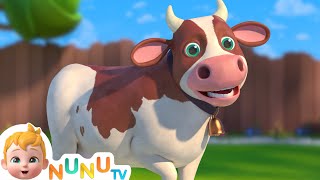 The Cow song  More Nursery Rhymes amp kids Songs  NuNu Tv [upl. by Sheeb]