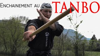 Enchainement technique au TANBO [upl. by Atnohsal]