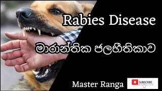 Rabies ą¶¢ą¶½ą¶·ą·’ą¶­ą·’ą¶ą·¸ą·€ Sinhala [upl. by Haem]