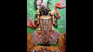 16 Nov Giriraj ji Mangala Aarti Darshan DIVYASHANKHNAADSHRINATHJI shrinathjidarshan [upl. by Wadsworth]