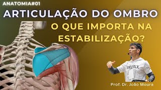 OMBRO CARACTERÍSTICA DA ESTABILIZAÇÃO  Anatomia 01 [upl. by Alveta]