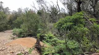 Redhill MTB Enduro Eatons Cutting Devil Drop Road gap 16m Santa Cruz Nomad Vic [upl. by Aneroc]