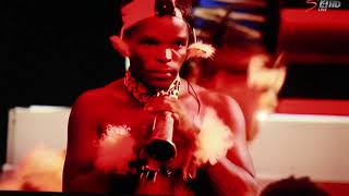 INDLONDLO ZULU DANCERS [upl. by Mcclain]