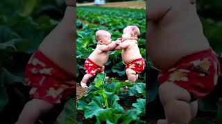 Aww😂😍 shorts babyvideos cutevideos cute [upl. by Rehptsirhc]